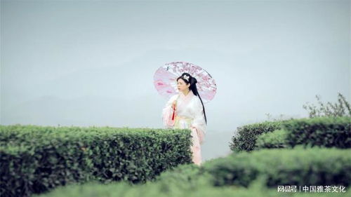 晨繁暮简：在喧嚣与宁静间找到平衡