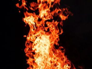 涅火重燃：晚灯随笔1134背后的深意