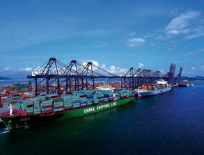 美加征港口费用：一场损人害己的“关税闹剧”