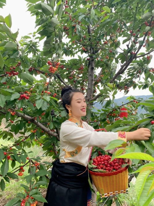 美债“爆雷”！未来48小时美国金融系统迎来生死时刻