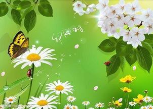 《向阳·花》：心向阳光，春暖花开