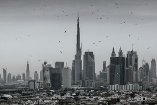 从简书的“新视角”看内容创作的未来