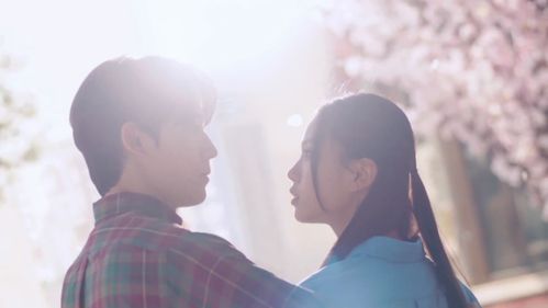 嗑到恋爱兄妹的嘴真严：亲情与爱情的双重博弈