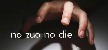 NO作NO DIE：从网络热词到文化现象