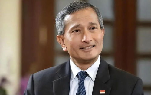 新加坡前外长杨荣文：美国的霸凌政策终将遭到反击