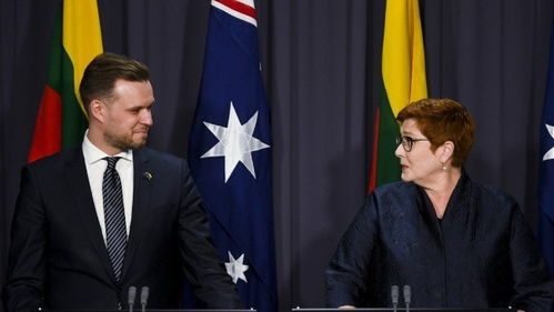 立陶宛外长向美军下跪了吗？真相大揭秘