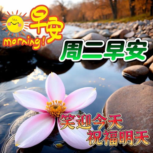 周二好呀！生活中的小确幸等你发现