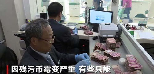 贵州修文县委原书记管庆良受审：现金埋地里种玉米，背后的故事令人深思