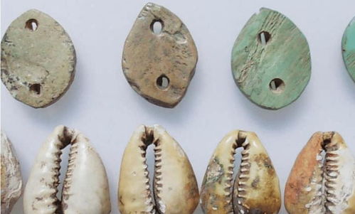 古代贝壳货币为何不能让穷人捡着发财？