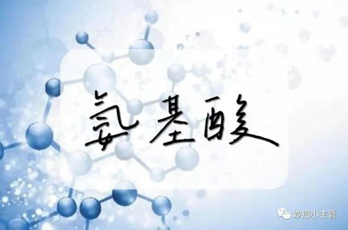 考研西医路上的氨基酸密码：贺银成带你揭秘蛋白质的秘密