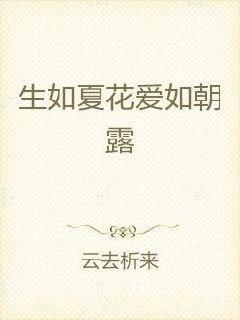 爱如朝露已晞：一场关于爱与遗憾的深刻感悟