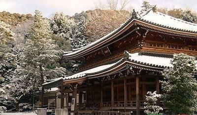 投资千万买日本寺庙的中国人后悔了：一场跨国骗局的真相