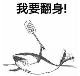 咸鱼翻身3：老铁，我劝你放弃玩手机