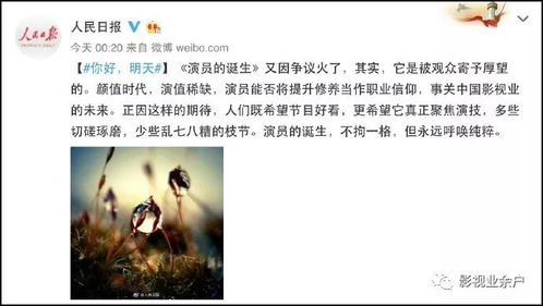 《棋士》观后感：一场关于命运与逻辑的围棋之旅