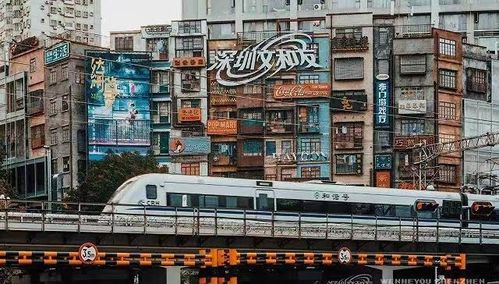 甲亢哥的直播，让文和友翻车了？