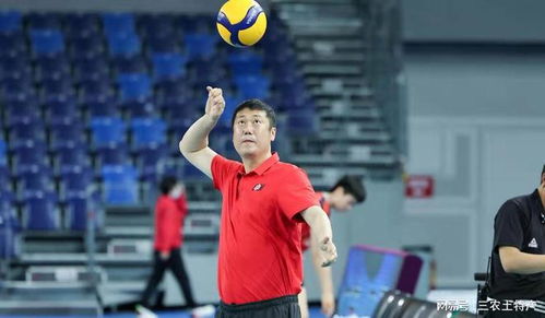 赵勇担任中国女排主帅：从辽宁到国家队的荣耀之路