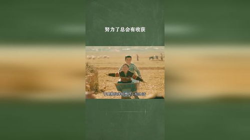 总有收获：那些努力后的点滴回馈