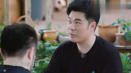 陈赫摔倒受伤引发热议，黄磊的厨艺再次成为焦点