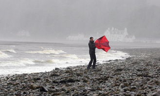 北京即将迎来罕见大风，如何应对极端天气？