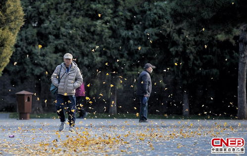 为何今年春季大风天气如此频繁？