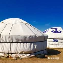 别人家的跑马场：一场速度与美学的盛宴