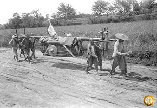 葬礼现场惊魂一刻：美国棺材下葬时地面塌陷，众人跌入墓坑