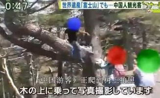 游客随手丢烟头引发洛邑古城火灾，防火意识需警钟长鸣