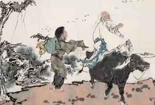 当让则让，不与身边人斗狠：我的生活感悟