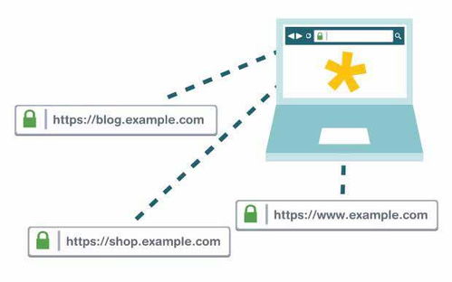 通配符SSL证书：为什么它在网络安全中越来越重要？