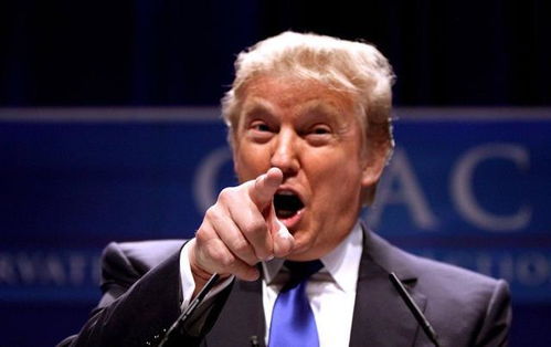 中美关系新动态：特朗普呼吁冷静背后的深意