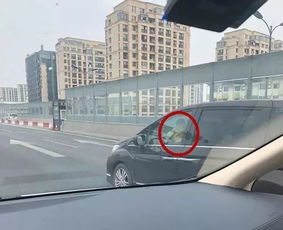 惊险瞬间！浙江男子驾车从高架掉落，背后真相令人深思