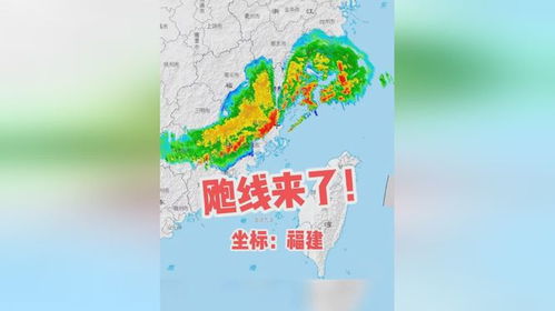 10级狂风来袭，堪比台风过境的震撼体验