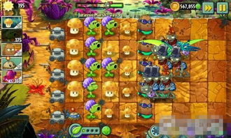 网文圈的“提前埋雷”：一场关于信任与背叛的游戏