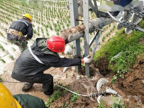 这次“历史罕见”大风到底有多极端？