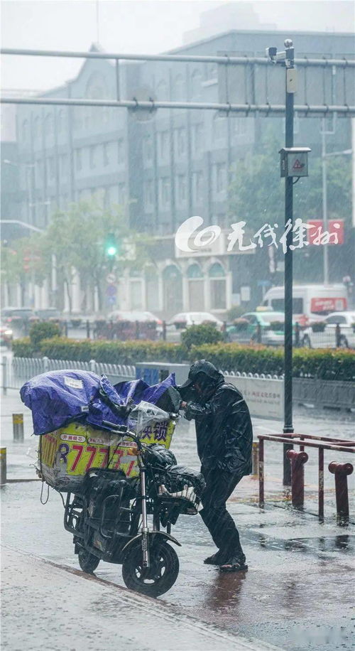 非必要不外出！罕见强风周末来袭，北京居民如何应对极端天气