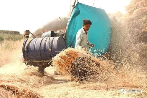 5G麦田里的科技春管：一个简书作者的田野观察