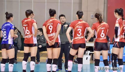 官宣！2025年国家女排集训名单出炉，赵勇正式出任主帅