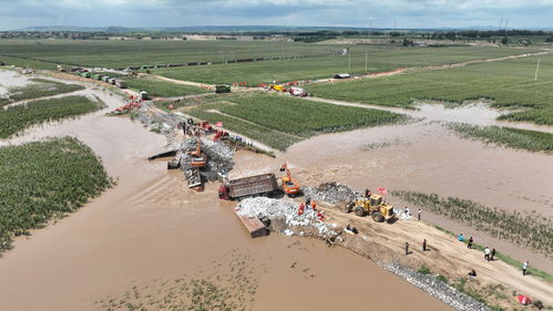 直击罕见大风：内蒙古河北等地风沙过境现场