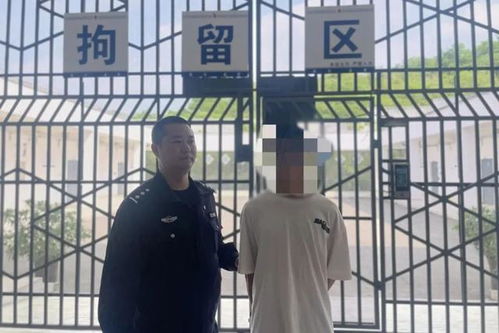 卖惨剧泛滥，我们的善良被谁利用了？