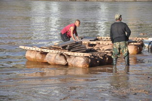 落在没有回声的地方：一场关于自我追寻的心灵之旅