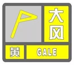 极端大风来袭！我的应对指南全在这里