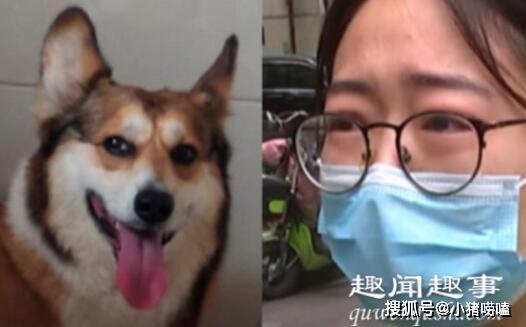 惨痛教训！男子因激将下水溺亡，背后隐藏的悲剧真相