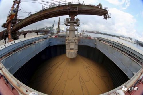 中企抢购巴西大豆，美国豆农的“心凉了”