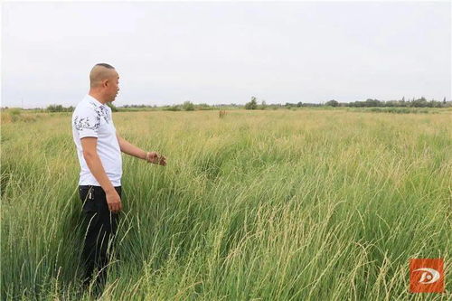 城市规划中的门头牌匾颜色禁令：红蓝黑真的不能用吗？