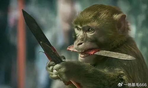 黑神话悟空DLC制作要求比本体还高，玩家期待值爆表