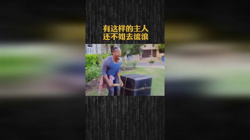 不如去流浪：一场自我追寻的旅程