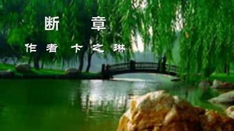 田间断章：那些藏在泥土里的故事