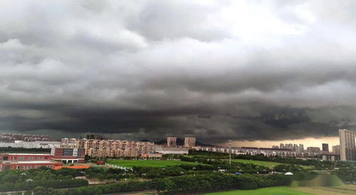 武汉雷暴大风上演一秒天黑：亲历者讲述震撼瞬间