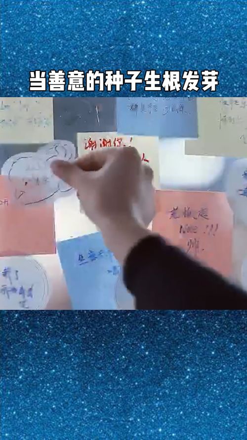 善意的种子：在平凡中创造不凡