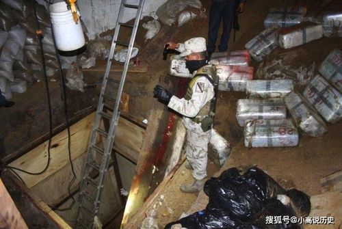 毒贩改行向老美走私鸡蛋，背后竟是这般荒唐与无奈